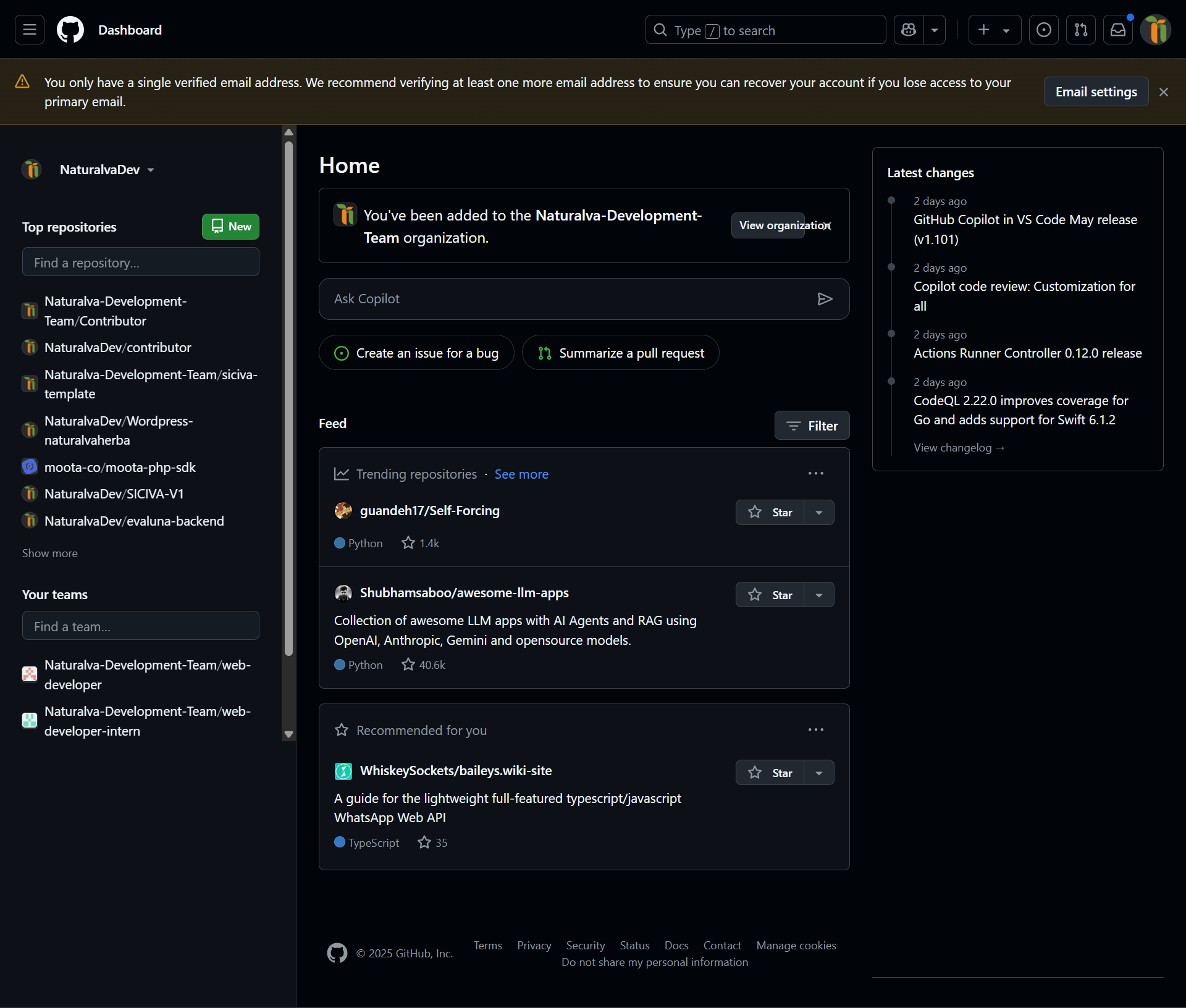 GitHub